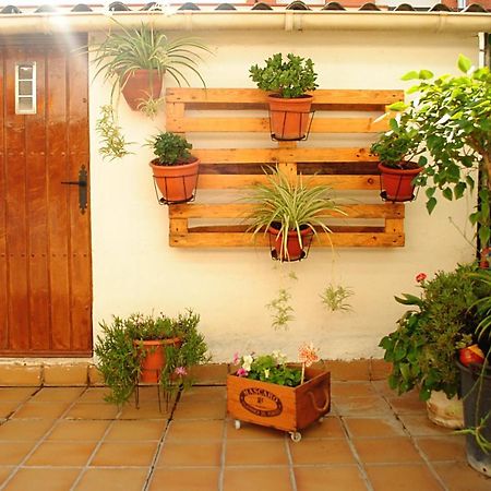 Habitacion Con Patio En Piso Compartido Capellades Eksteriør bilde